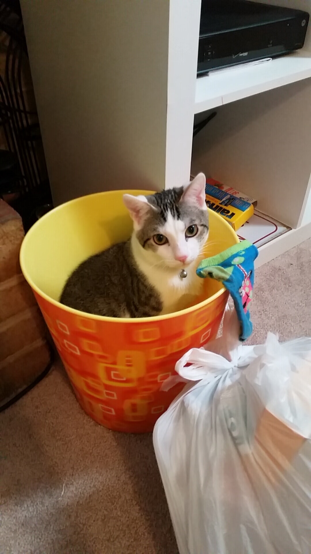 kaiyun网站-中国足球裁判员队伍规模持续扩大，专业化水平显著提高，中国足球裁判员工资多少